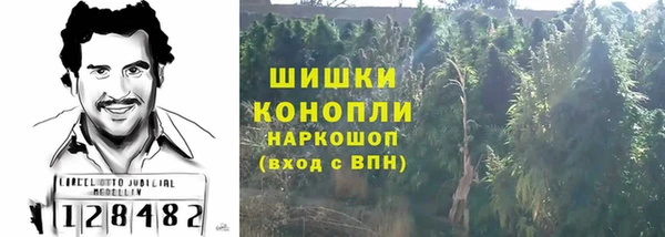 гашиш Богданович