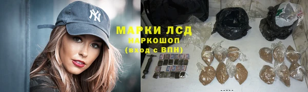 гашик Белокуриха
