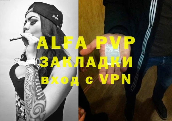гашиш Богданович